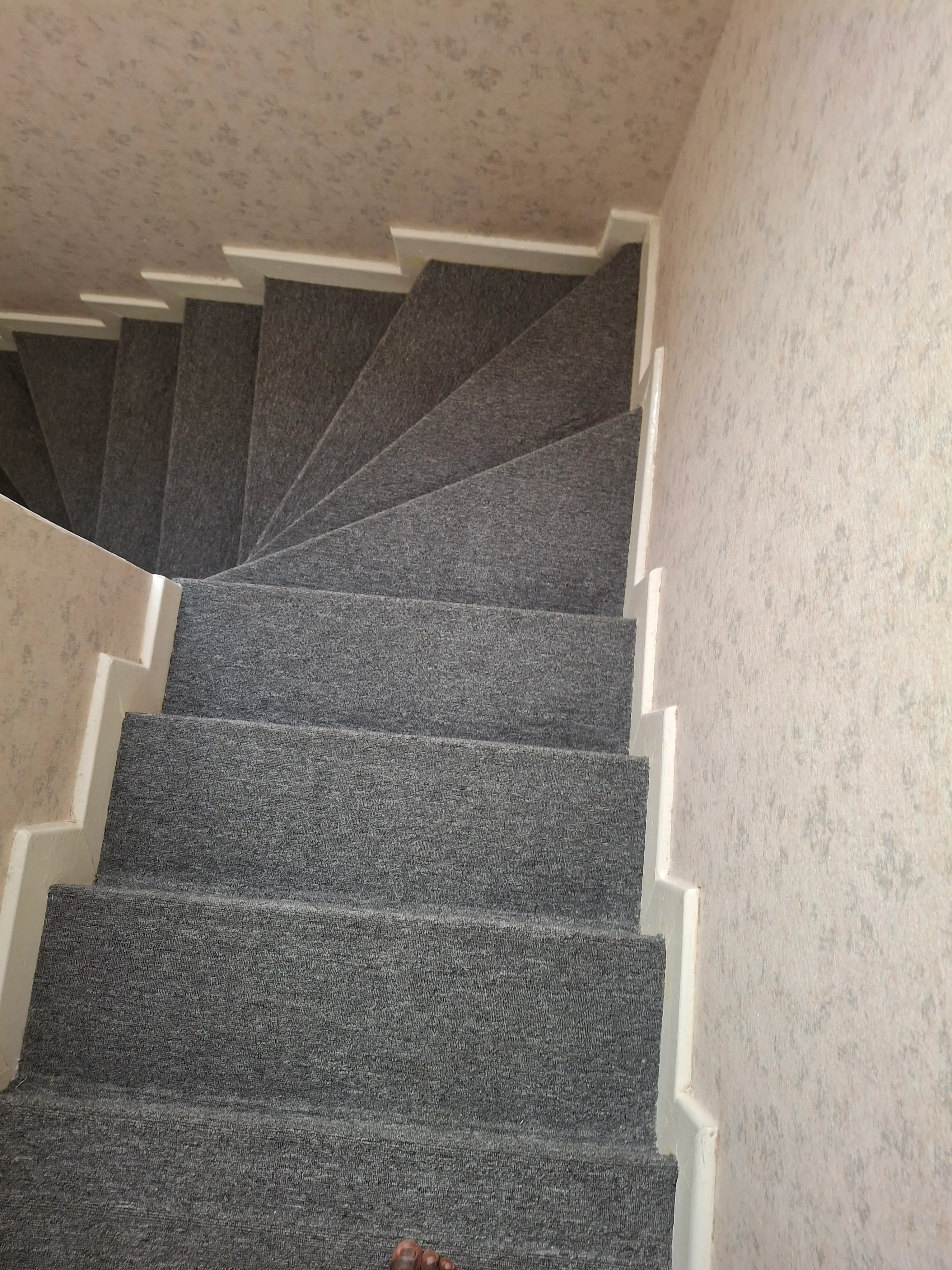 Carpeting Solutions project 10